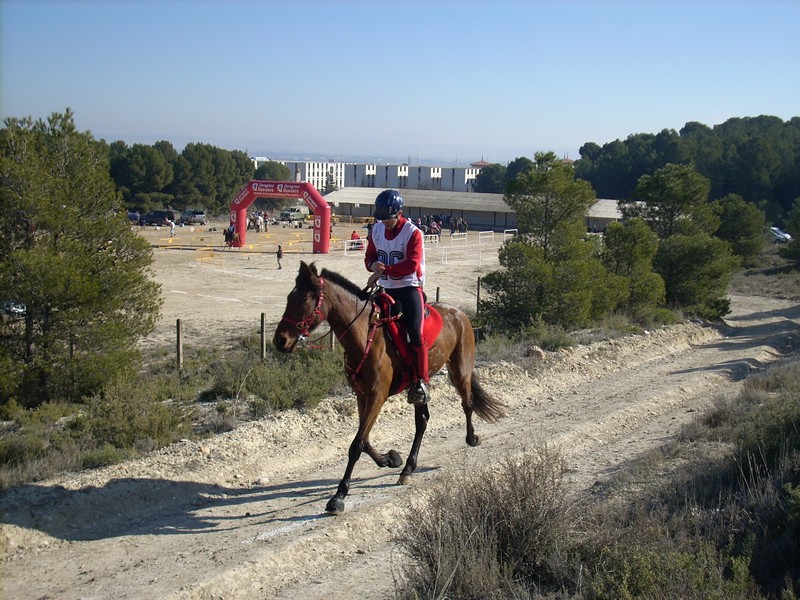 El jinete Navarro PACO AYESTARÁN, ganador del I Raid AGM en Zaragoza